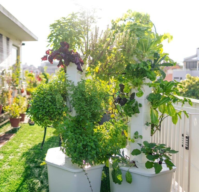 The Future of Farming: The World of Aeroponics