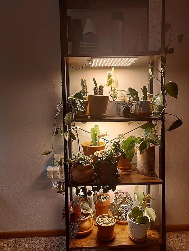 How to Use Grow Lights for Indoor Plants: A Comprehensive Guide to Indoor Gardening