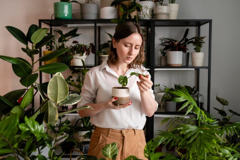 the Secret to Thriving Indoor Plants: Discover the Ultimate Automatic Watering System!