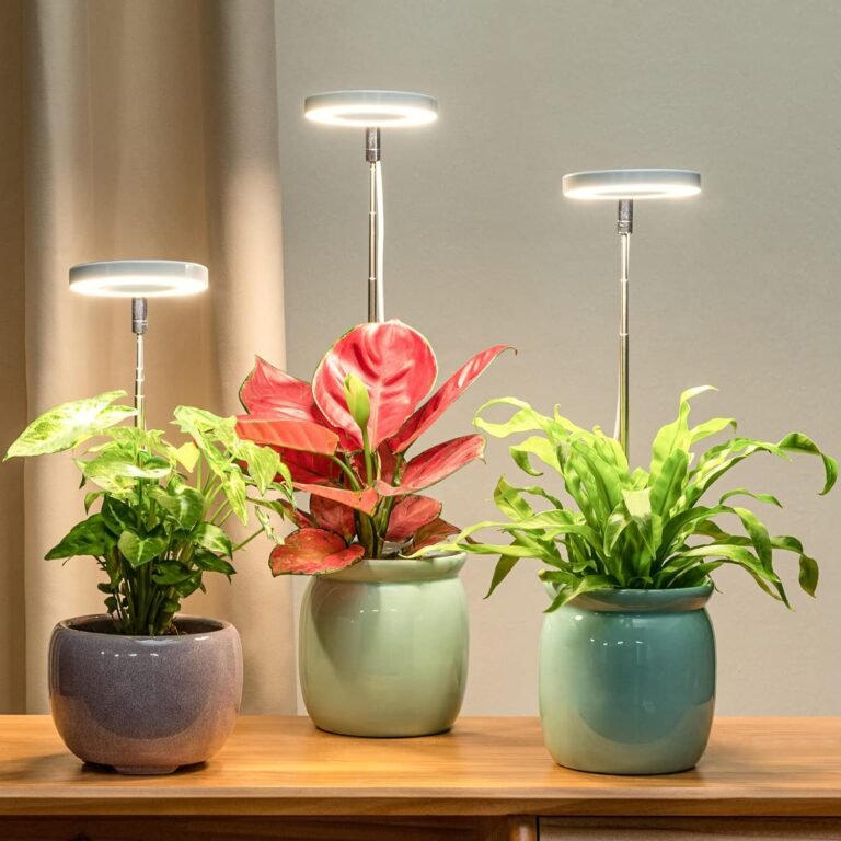 LORDEM Grow Light Review