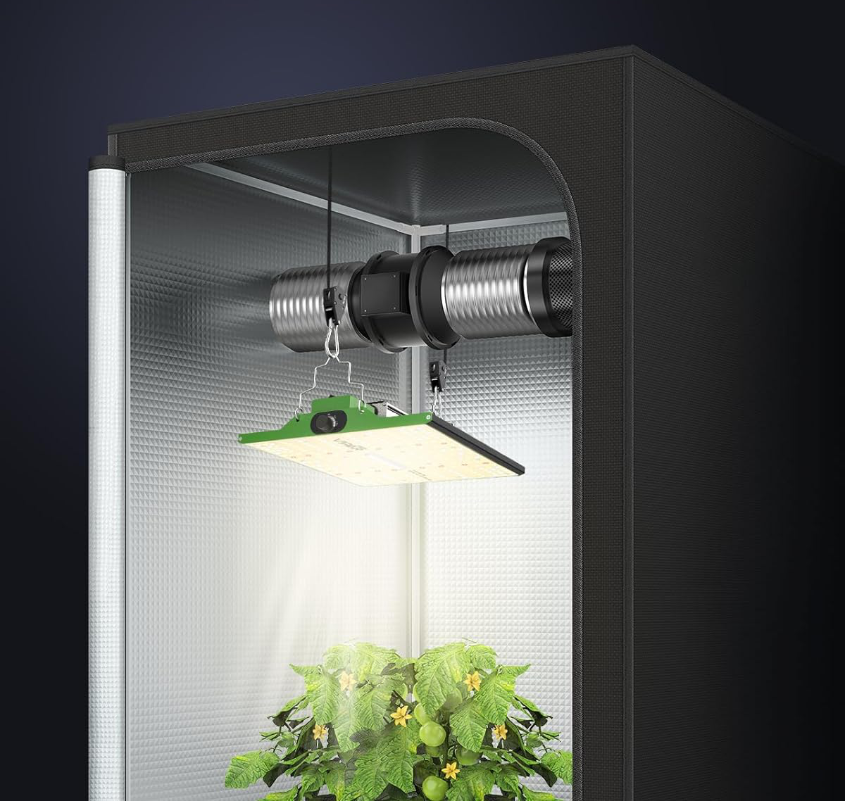 3 Best LED Grow Lights