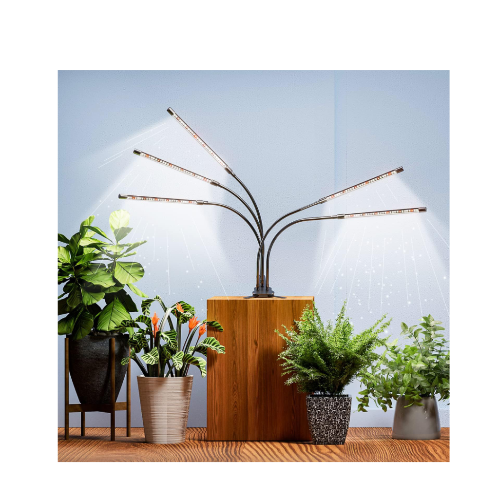 5 Best Grow Lights